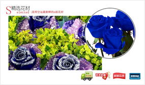 至死不渝,中國(guó)網(wǎng)上花城 商品內(nèi)容 藍(lán)玫瑰4枝 葉上黃金 商品包裝 皺紋紙圓形包裝