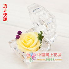 浠水網上花店 商品內容 用途 愛情 生日 祝福 道歉 婚慶 其它 求婚 周年紀念 情人節 圣誕節 春節 元旦 3.8婦女節 母親節 感恩節
