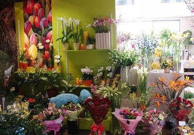 花店增加零食水果項目怎么做?花店增加零食水果項目,創業新機遇等你來抓!