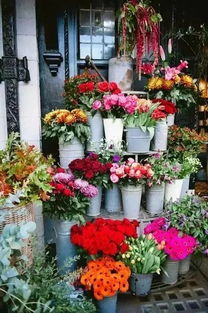 開家花店,享受慢生活