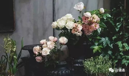 花店運營 看看這樣的鮮花店經營指導方案適不適合你