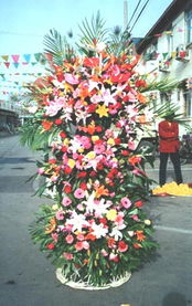 絳縣網(wǎng)上花店 商品內(nèi)容