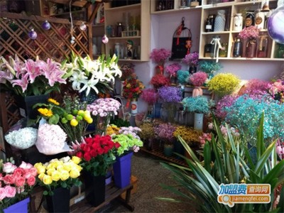 【心情不錯花店】開店心情不錯花店,一年能賺很多!