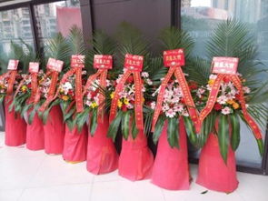圖 重慶梁平鮮花店訂生日鮮花網上訂花送花快 重慶鮮花綠植