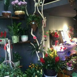 海上花開鮮花店 聯系方式、地址、價格與營業時間詳情