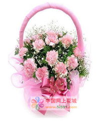 粉色康乃馨花籃——呼和浩特網上花店精選