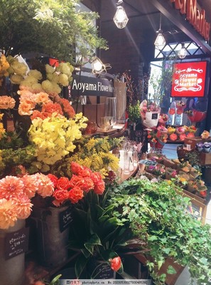 花店 城市中的芬芳綠洲