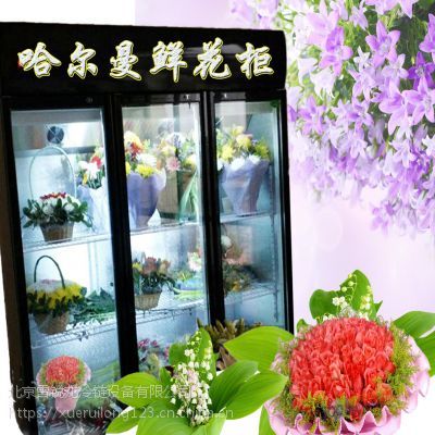 花店保鮮柜選購指南 價格、廠家與實用功能解析