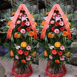 貴陽花店 城市綠洲與情感驛站