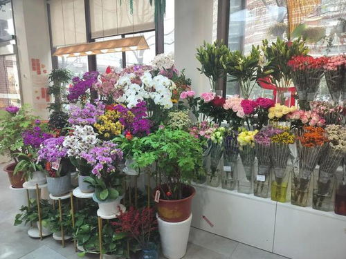 姹紫嫣紅年宵花，愛申活暖心春——花店上新迎新春