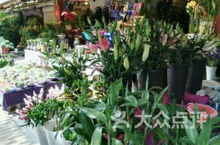 廈門湖里區(qū)花店精選推薦與選擇指南