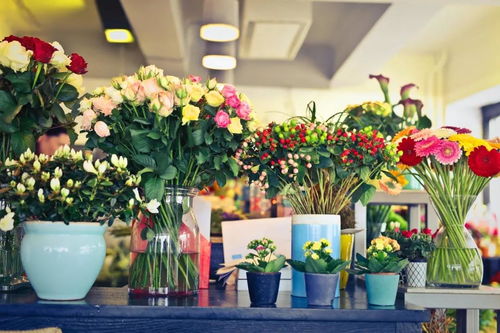 花店培訓(xùn)丨情人節(jié)花店全攻略 從備貨到客戶維護(hù)